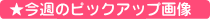 ���T�̃s�b�N�A�b�v�摜